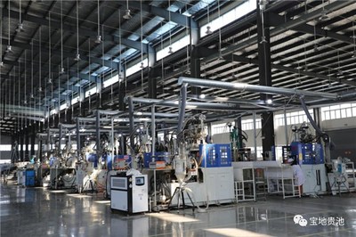 池州高新區 爭分奪秒拼經濟 汽車銷售實現首季開門紅