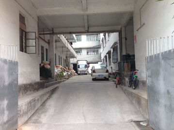 東莞市農村社區集體資產管理網 新南村富旭基廠資產管理解析